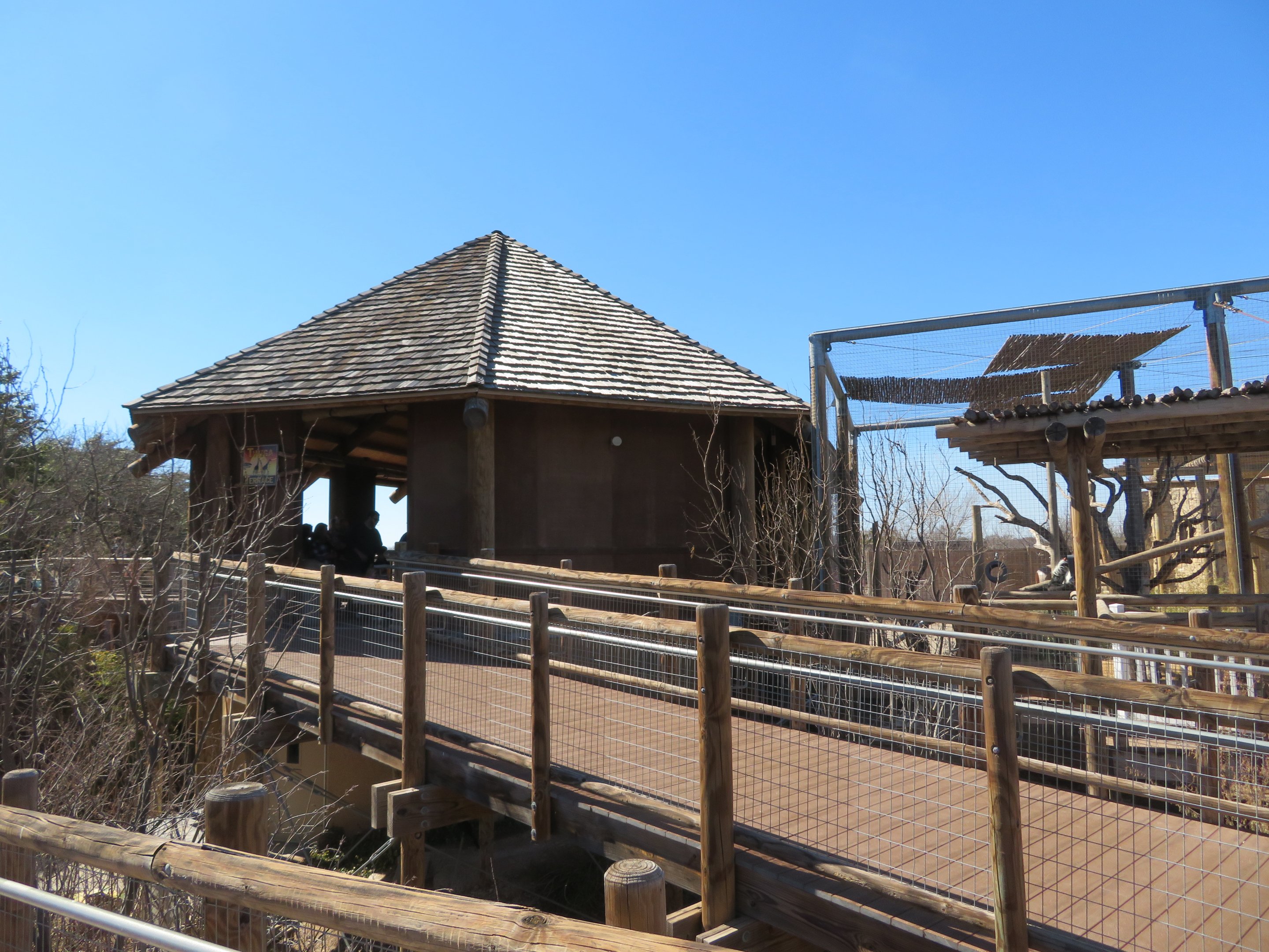 Giraffe Viewing/Feeding Platform
