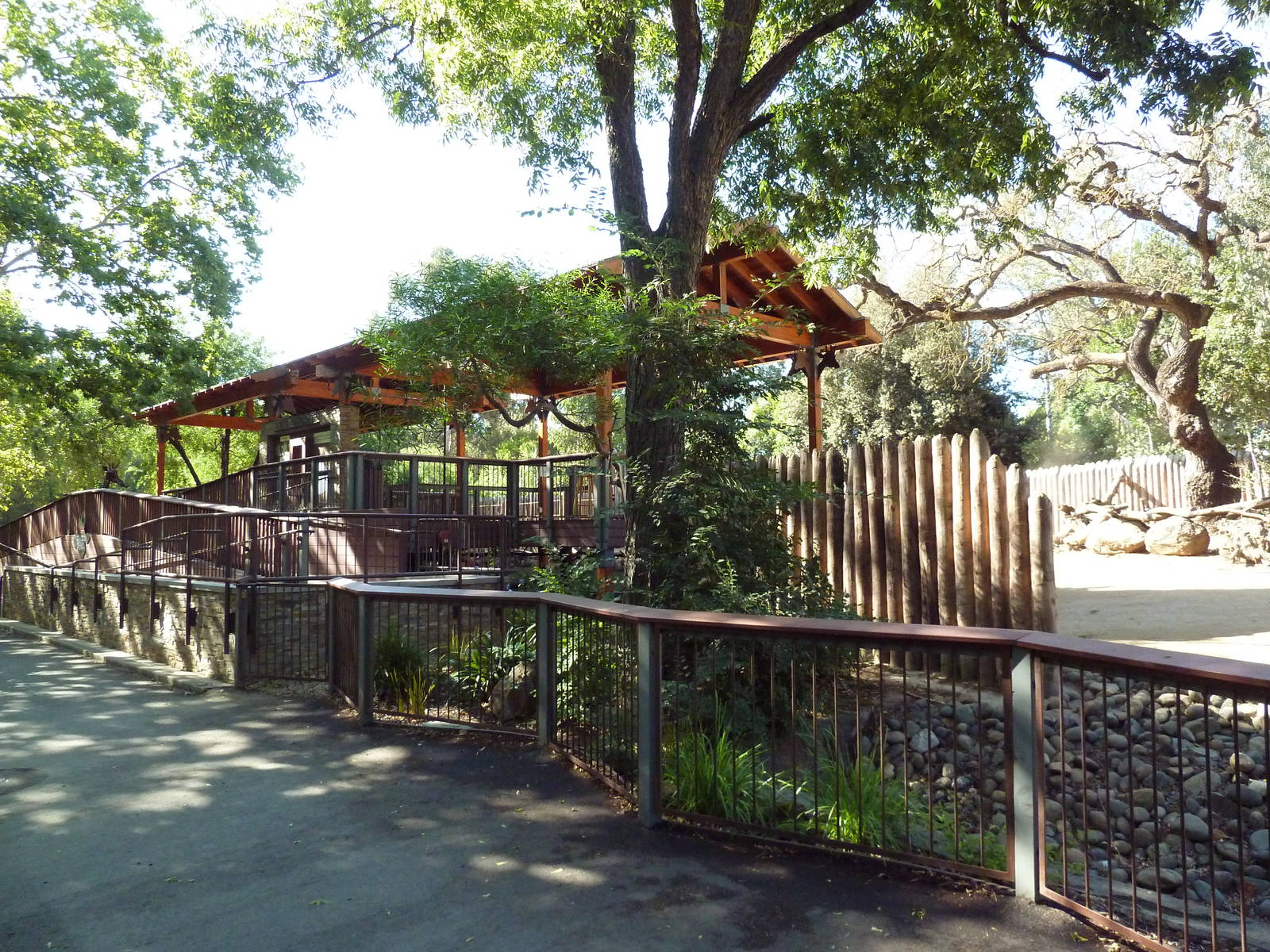 Giraffe Viewing Platform