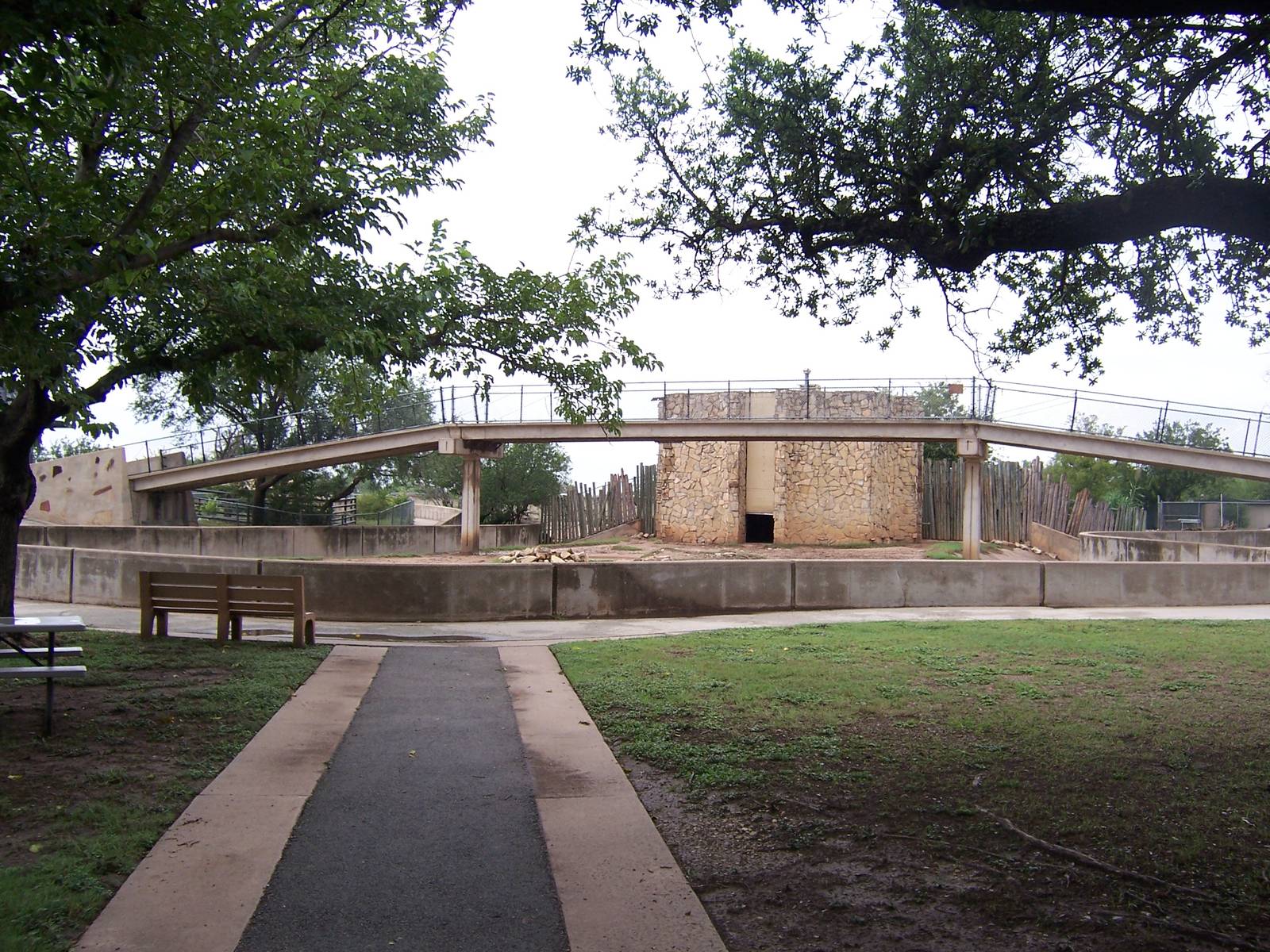 Giraffe yard and visitor bridge