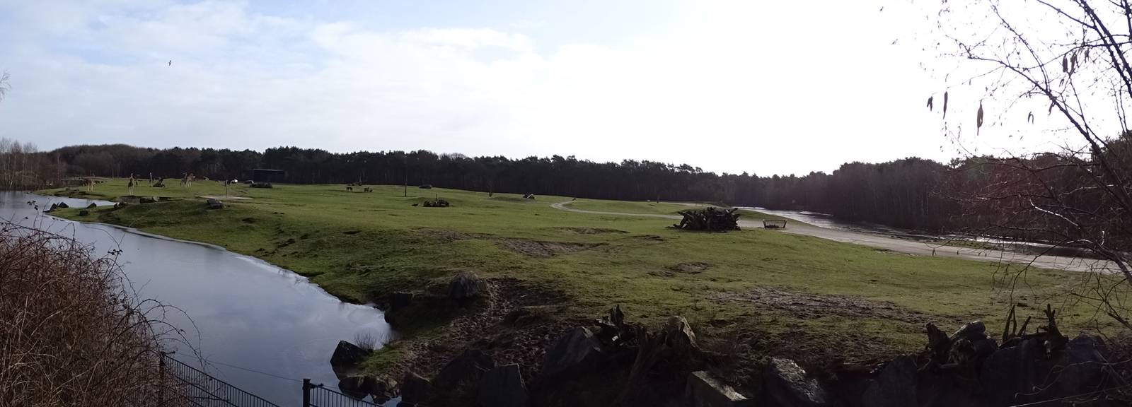 Giraffe/zebra/antilope enclosure