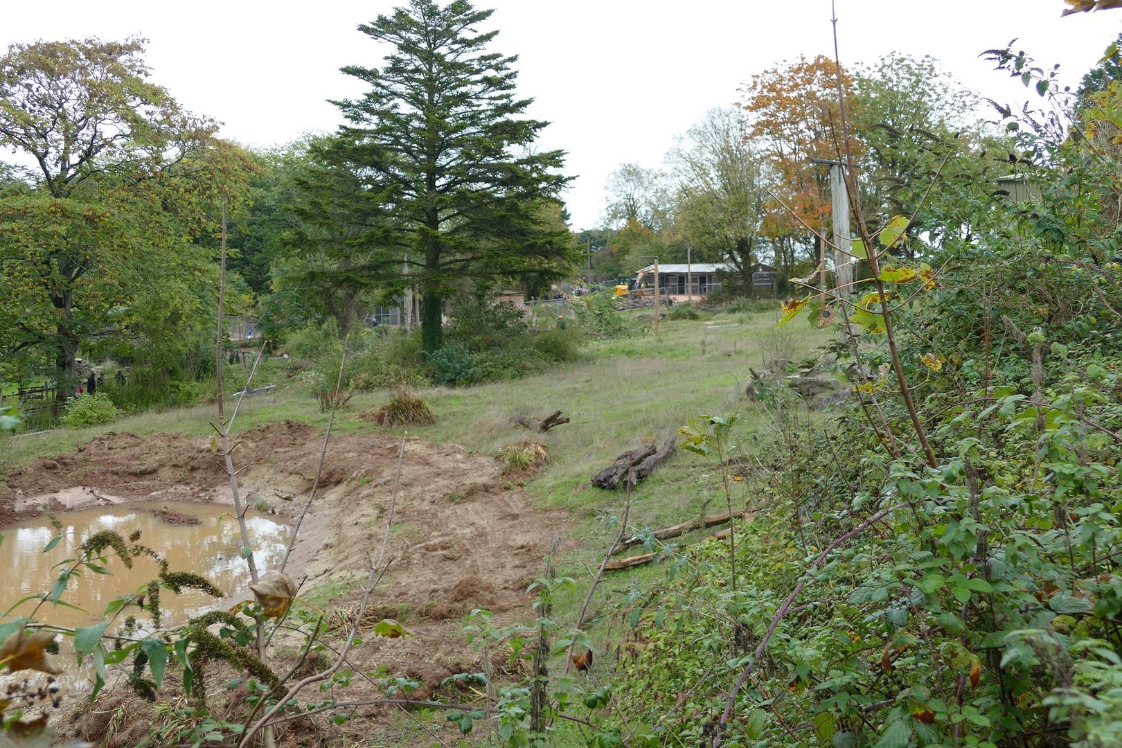 Giraffe & Zebra developments, October 2022