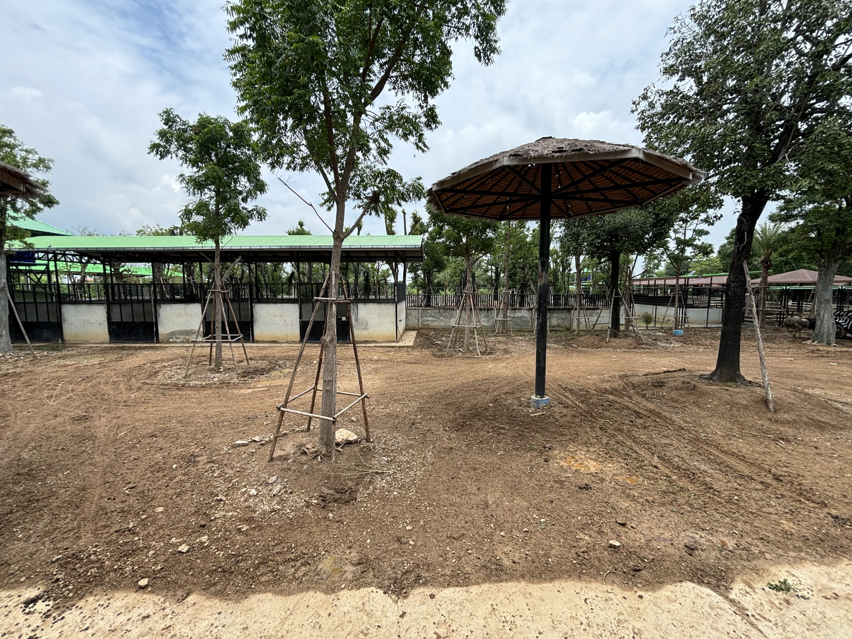 Giraffe/Zebra Exhibit - Lion Park