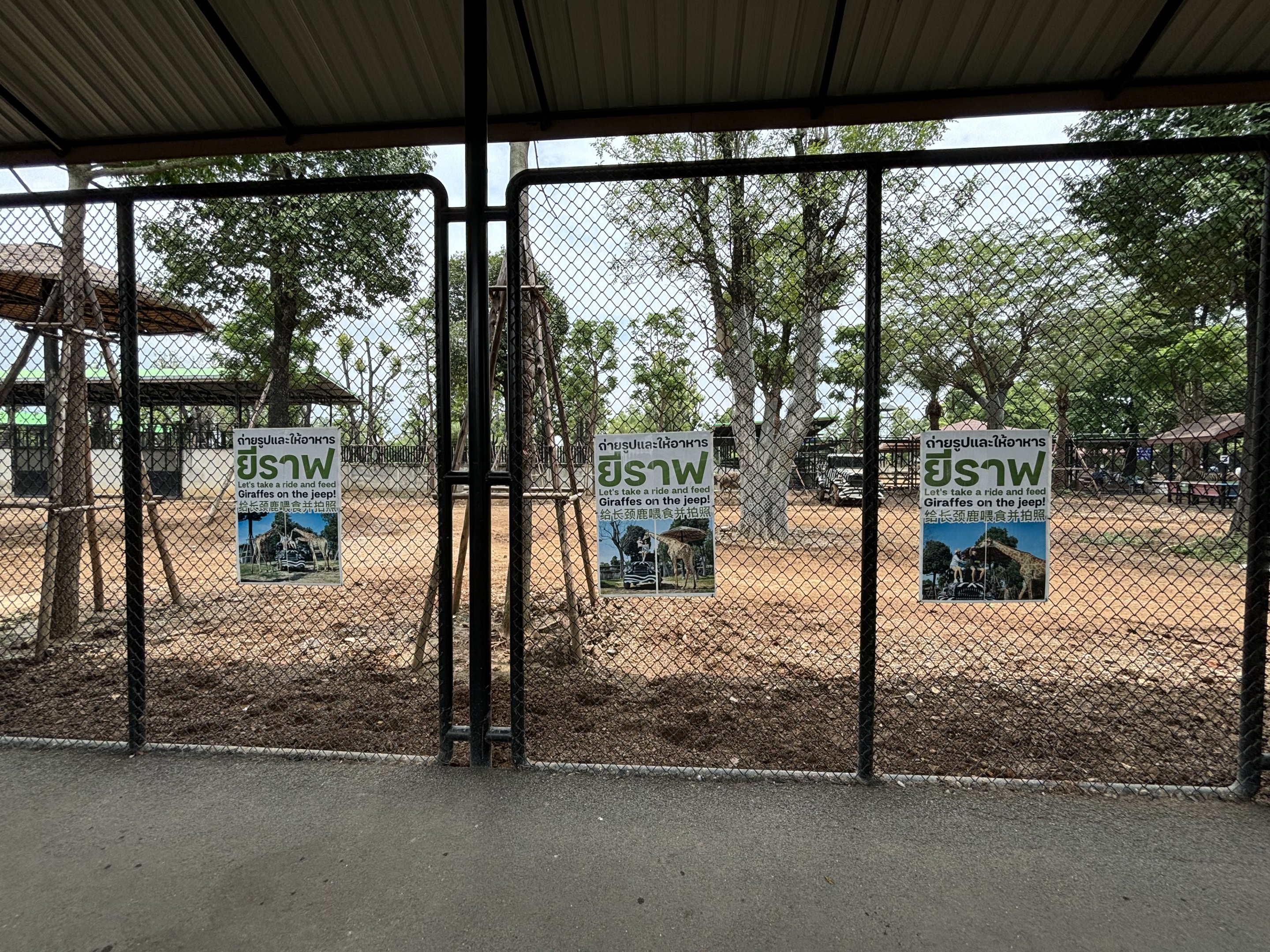 Giraffe/Zebra Exhibit - Lion Park
