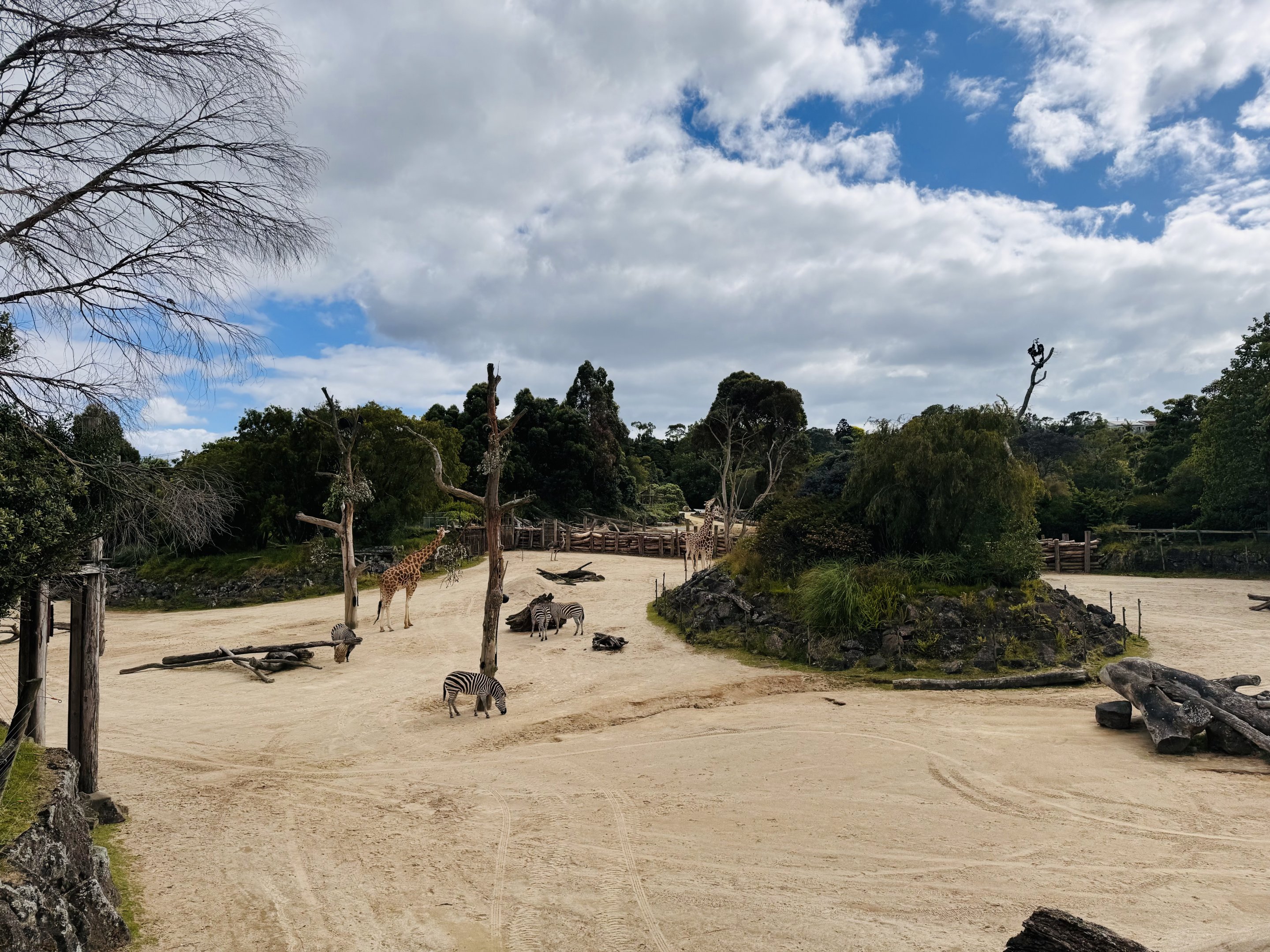 Giraffe/zebra/ostrich enclosure