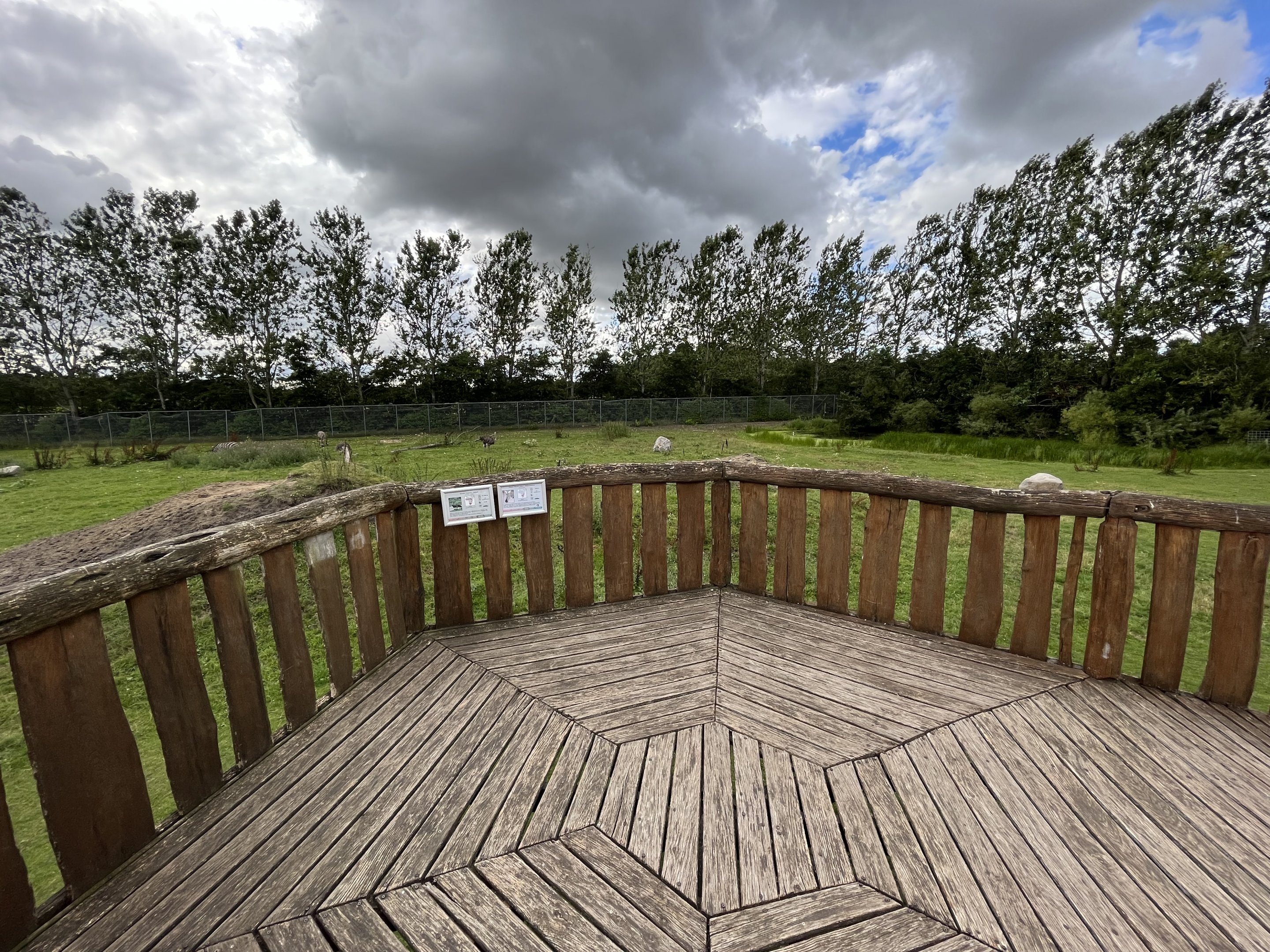 Giraffe/Zebra/Ostrich Exhibit
