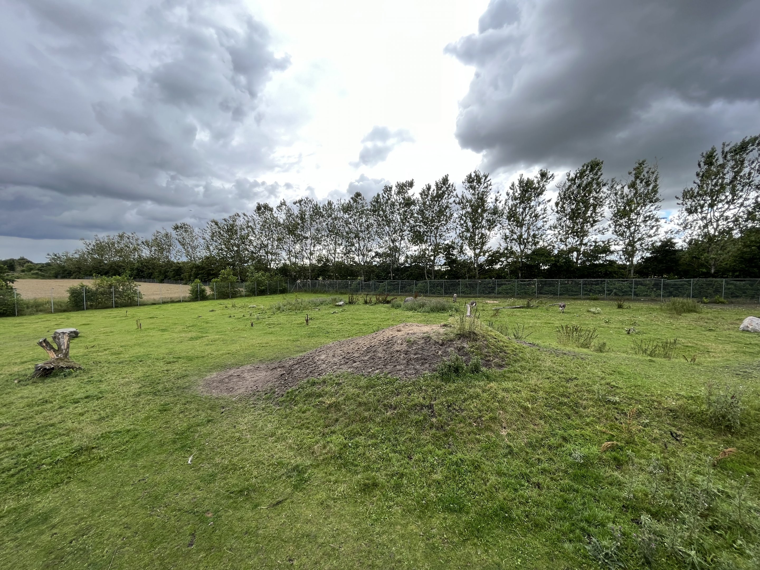 Giraffe/Zebra/Ostrich Exhibit