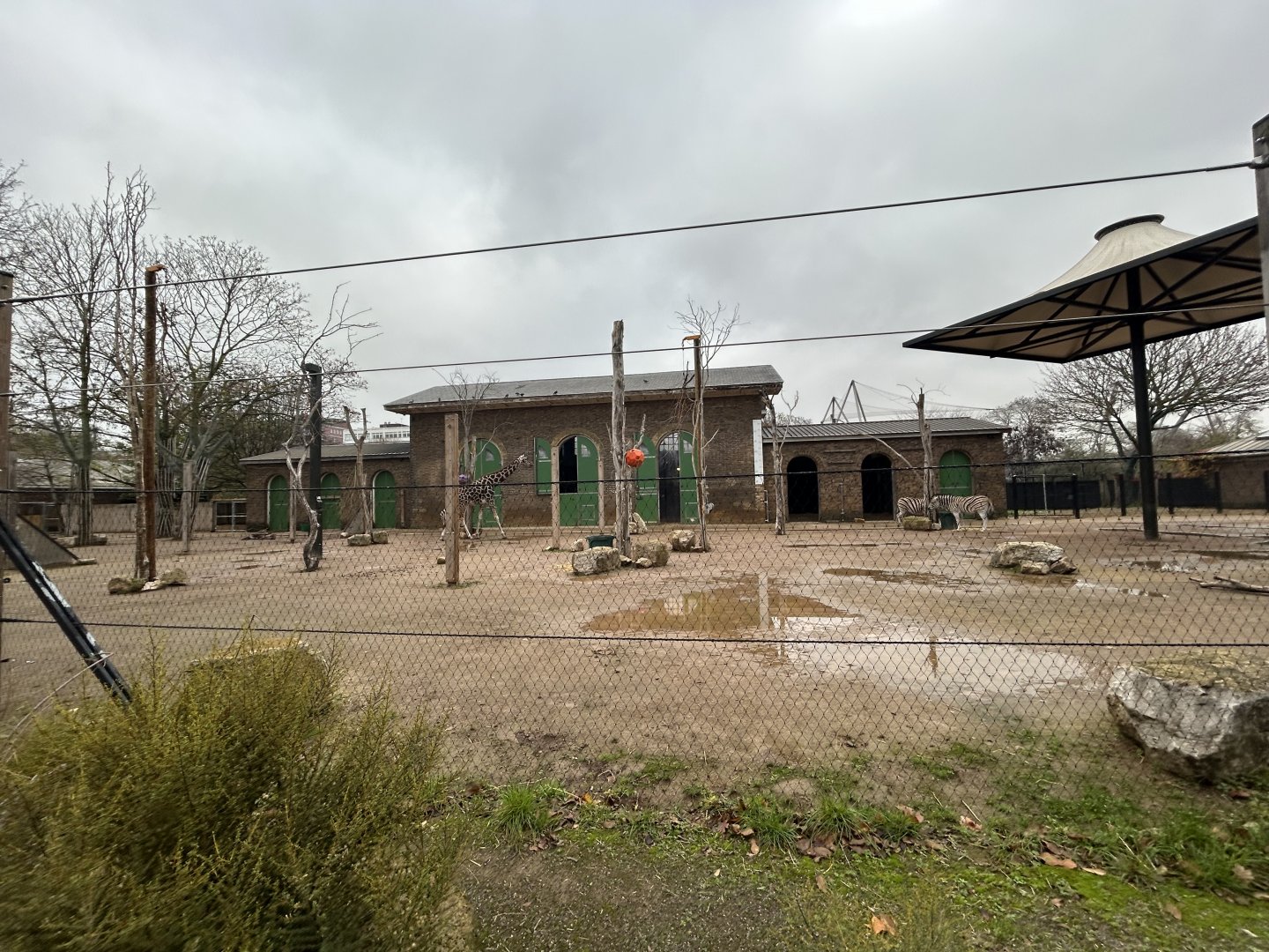 Giraffe, Zebra & Ostrich Exhibit