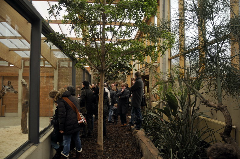 Giraffehouse at Opelzoo
