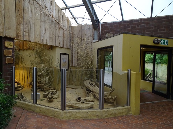 Giraffenhaus - meerkat indoor enclosure (07/22)