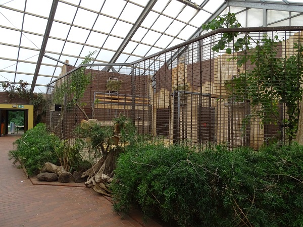 Giraffenhaus - Stables for giraffes (07/22)