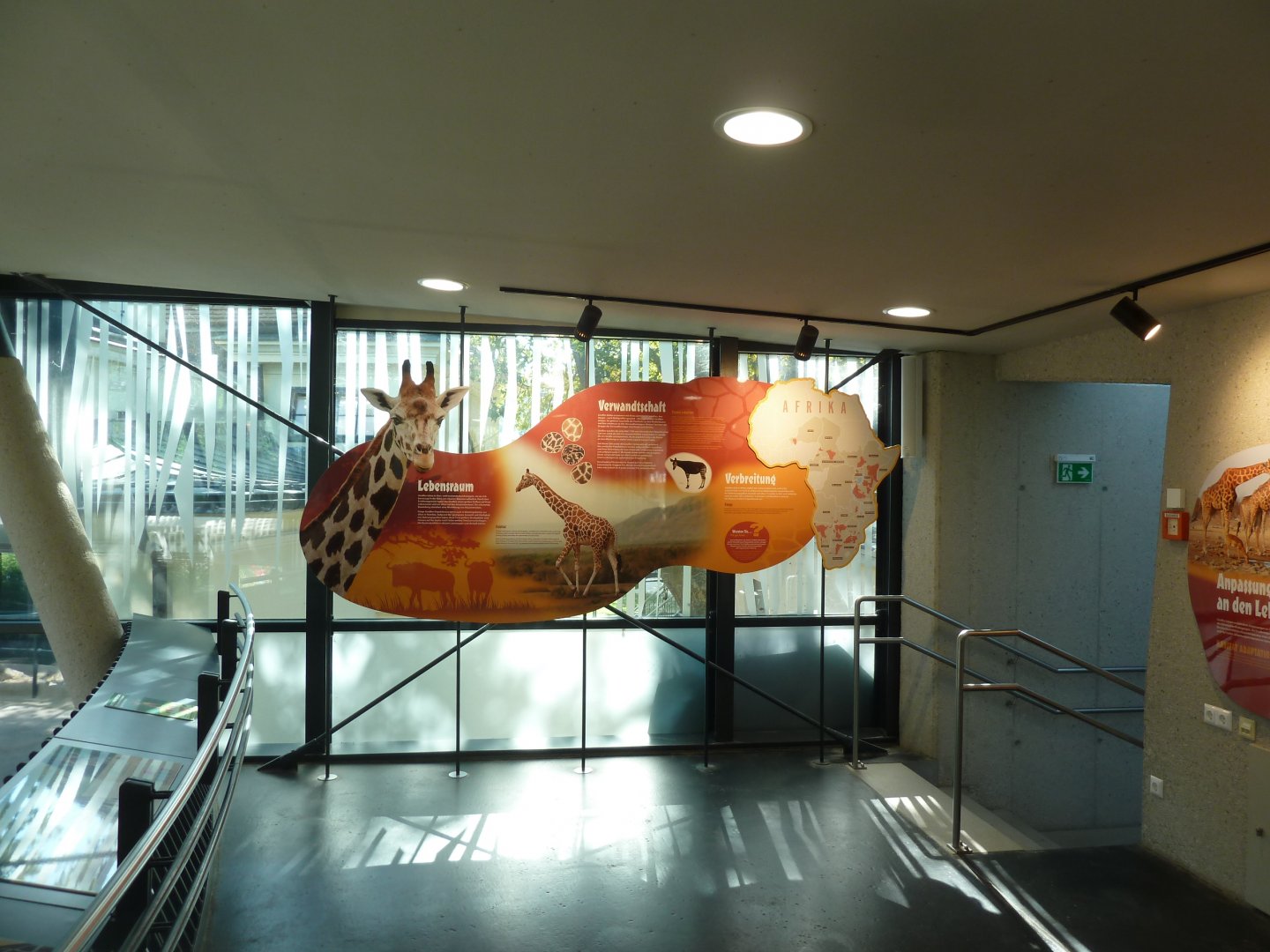 Giraffenpark - first floor