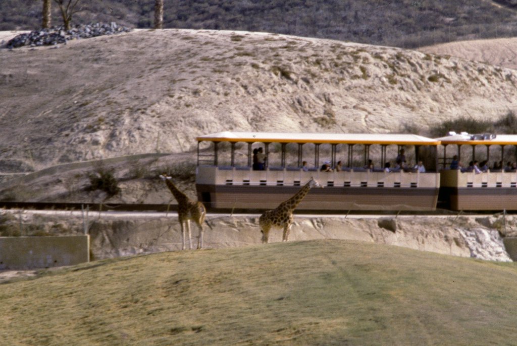 Giraffes and the Monorail - 1981