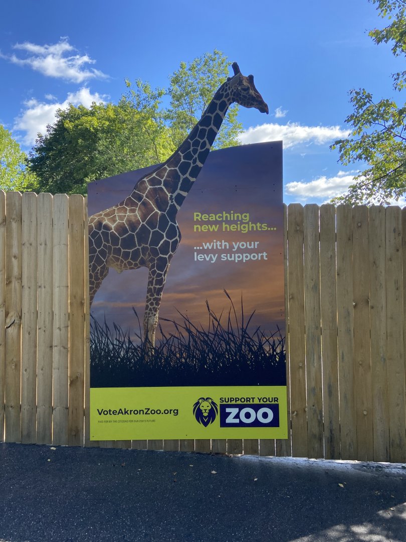 Giraffes could be in the future....