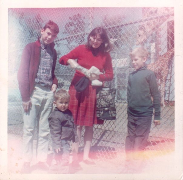 Giraffes- early 1970s