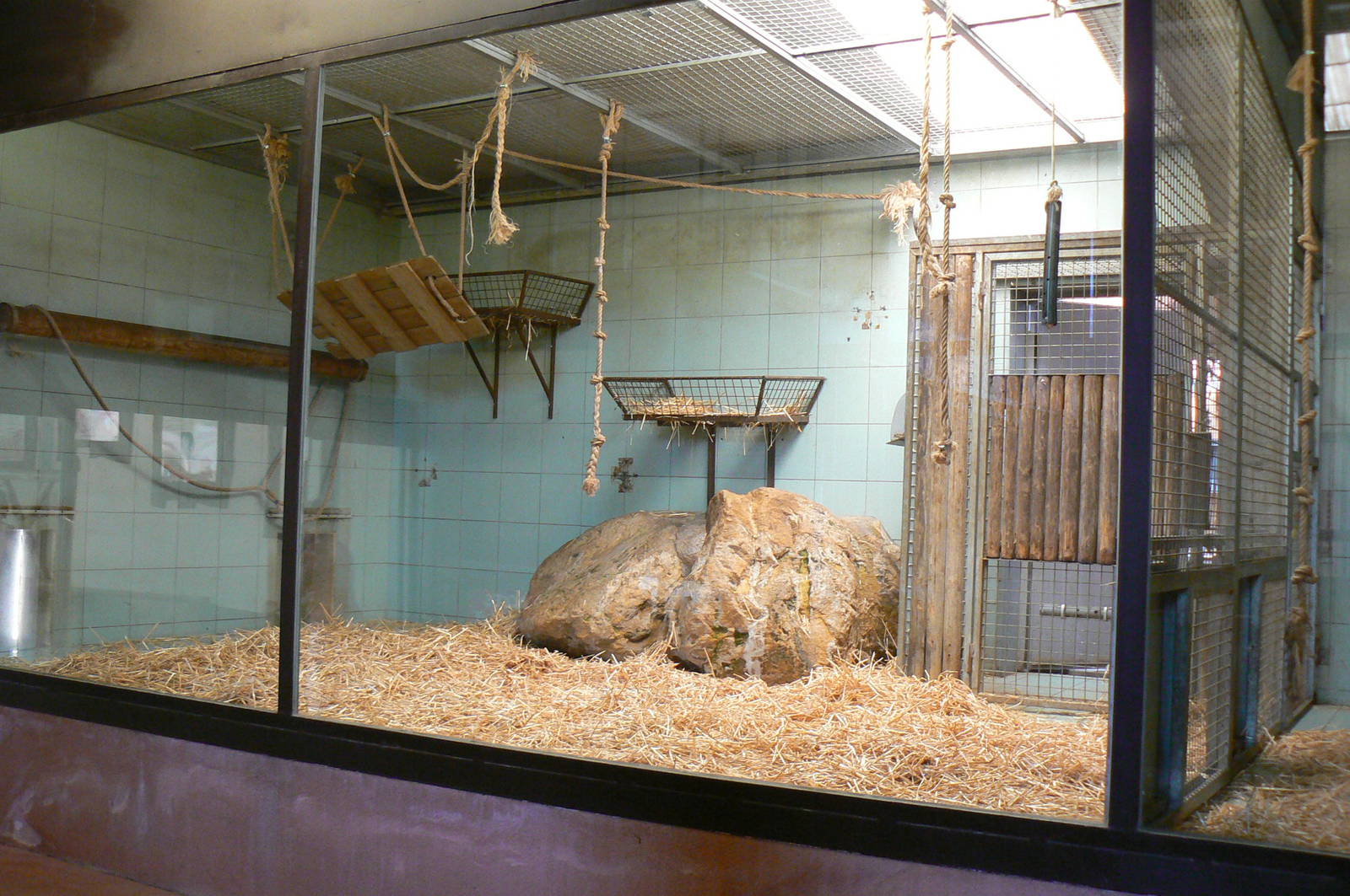 Giraffes house - mandrills indoor area