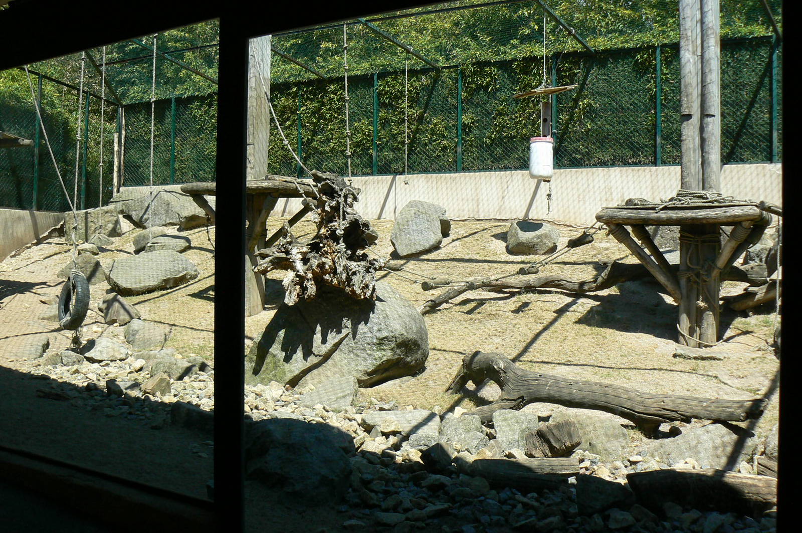 Giraffes house - mandrills outdoor exhibit