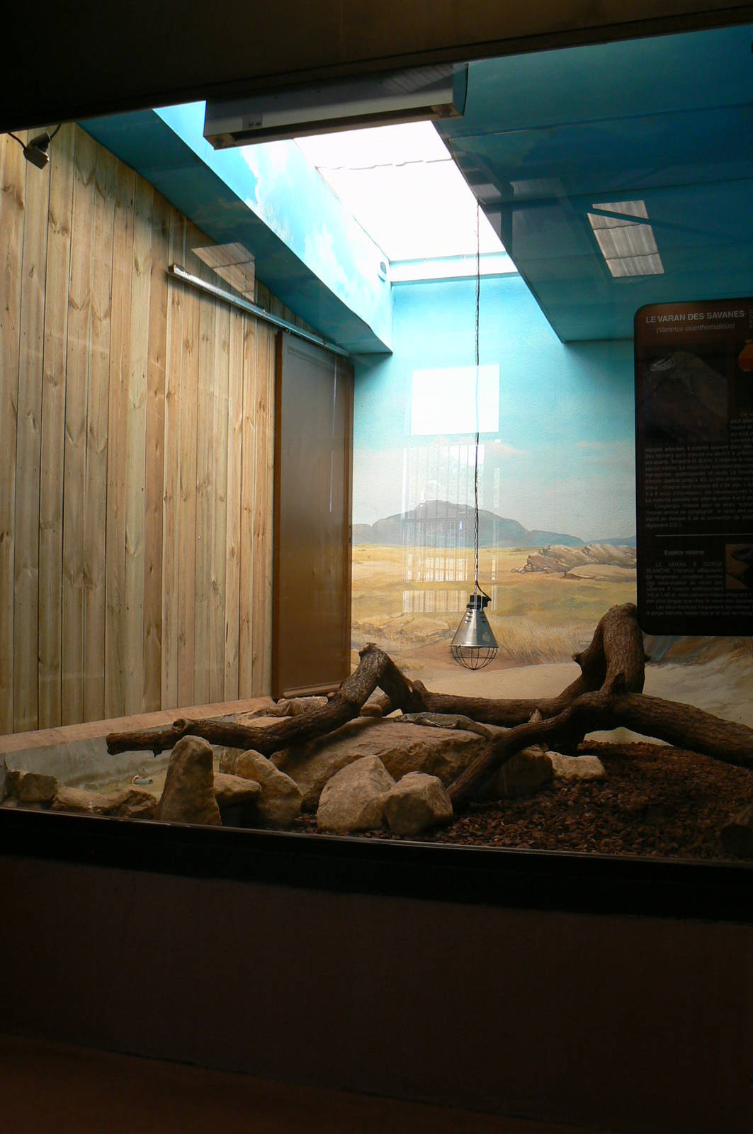 Giraffes house - savanna monitor enclosure