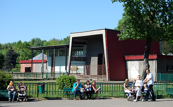 Giraffes indoor building