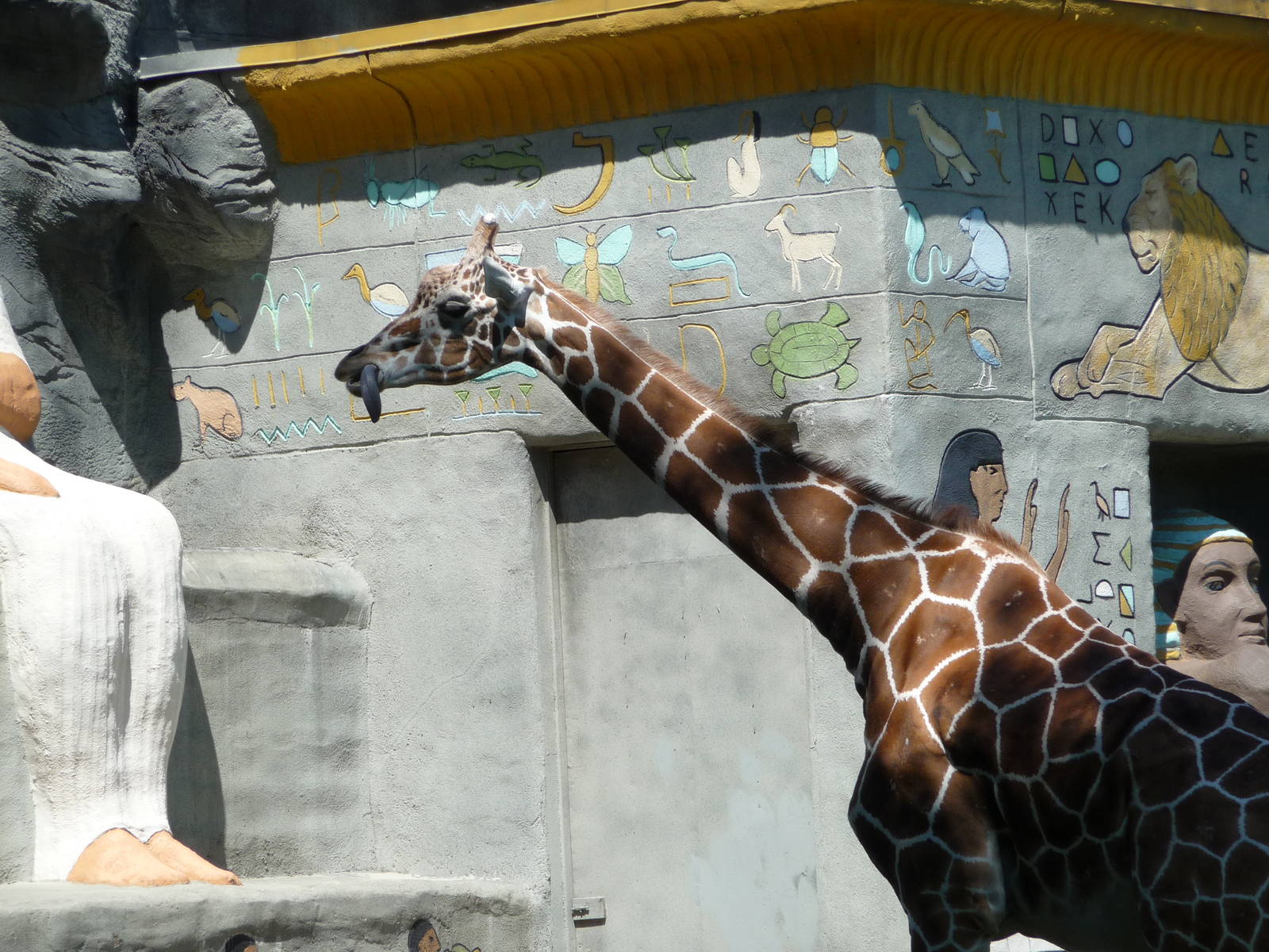 Giraffe's tongue - Detroit Zoo