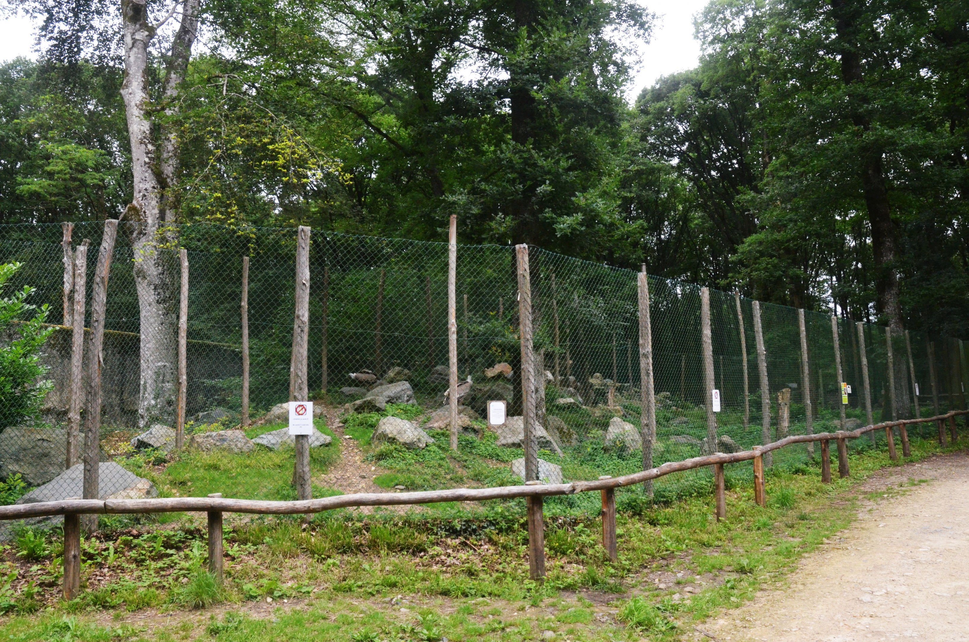 Girffon Vulture Enclosure at Pescheray, 13/06/18