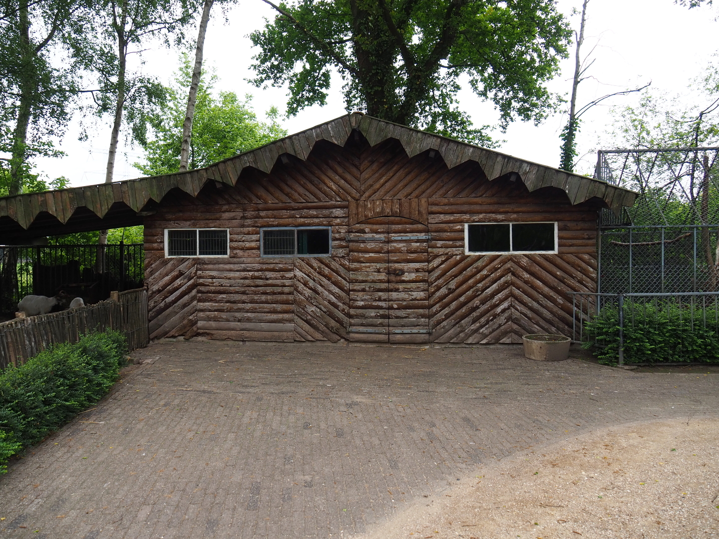 Girgentana goat and alpaca barn, 2019-05-25