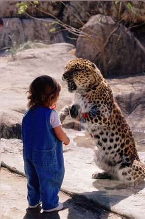 girl and leopard, The Living Desert