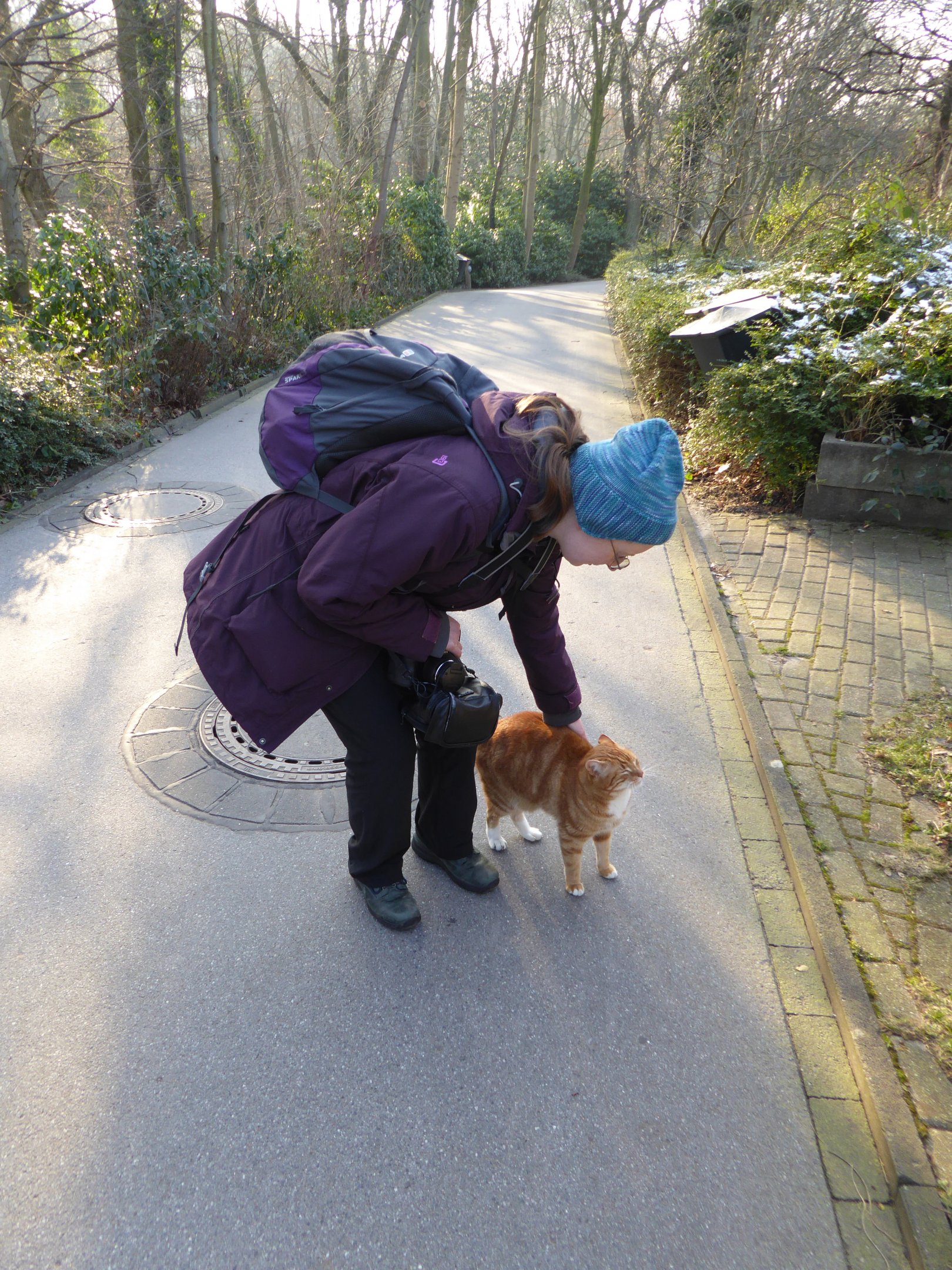 Girlfriend demonstrating tameness of Zoo Duisburg feral cat population
