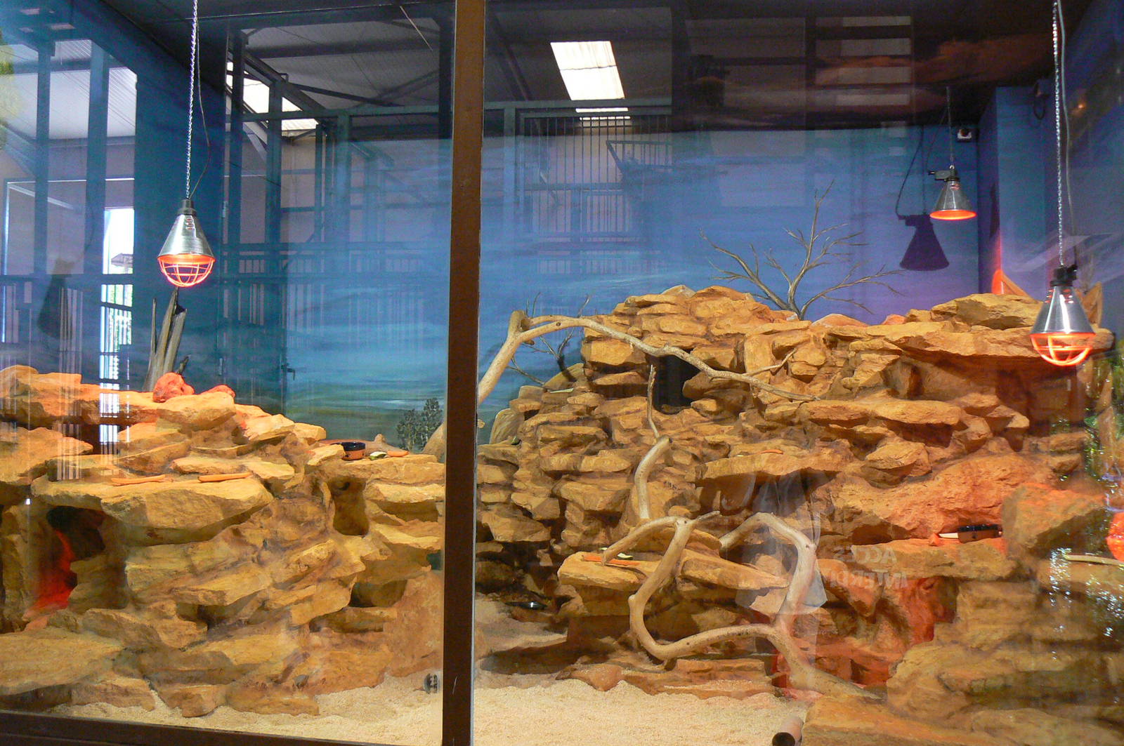 Girrafes house - common gundis enclosure