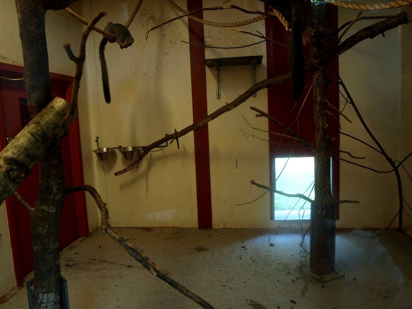 Givskud Zoo - Additional exhibit