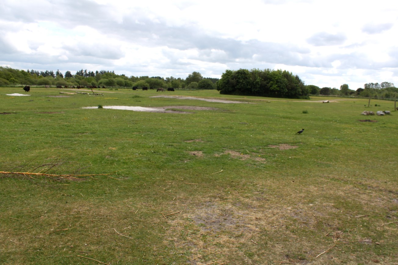 Givskud Zoo - African Savannah #3