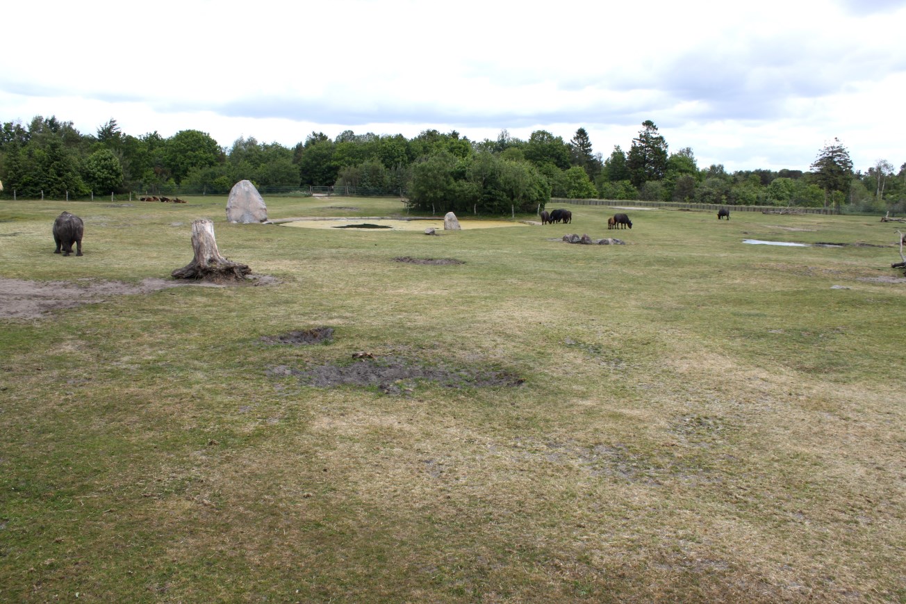 Givskud Zoo - African Savannah #3