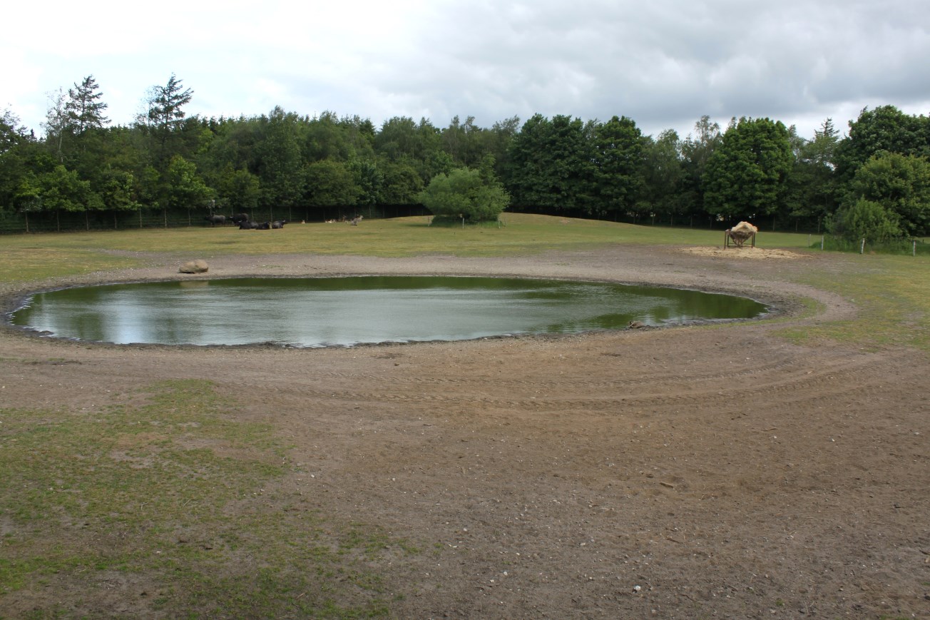 Givskud Zoo - Asian exhibit