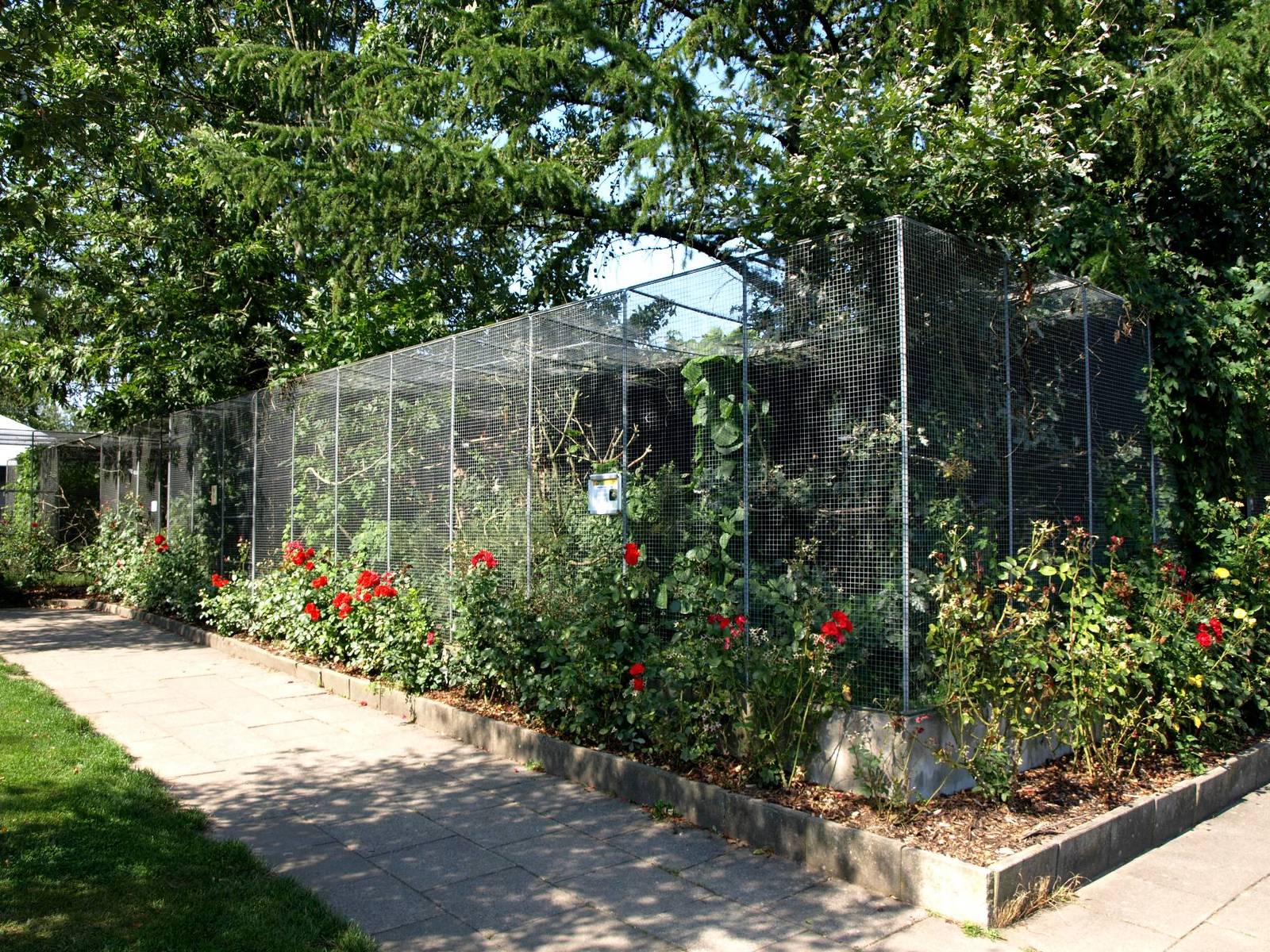 Givskud Zoo - Aviaries