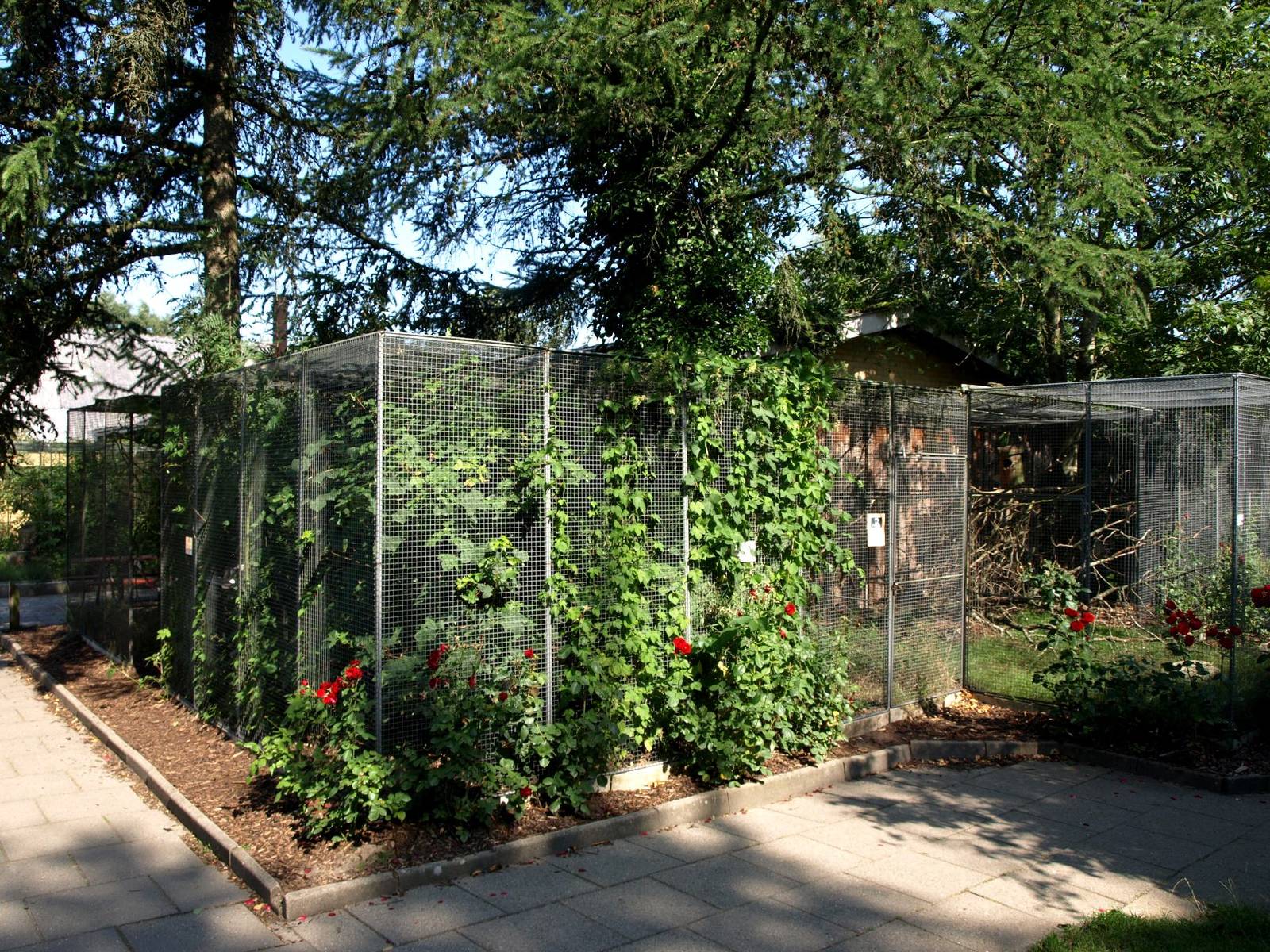 Givskud Zoo - Aviaries