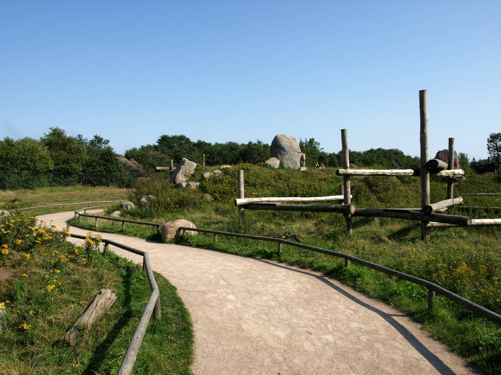 Givskud Zoo - Barbary macaque enclosure
