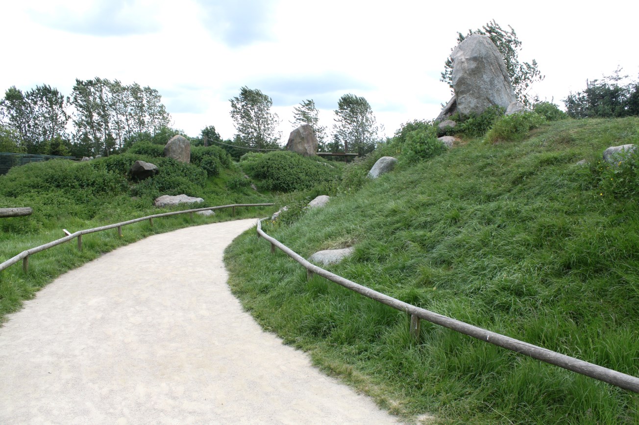 Givskud Zoo - Barbary macaque exhibit