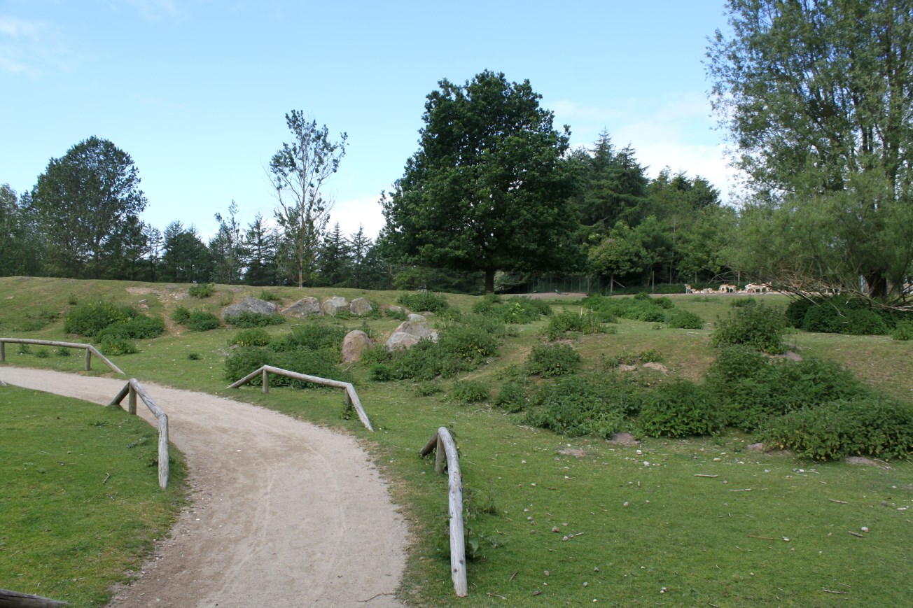 Givskud Zoo - Blackbuck enclosure