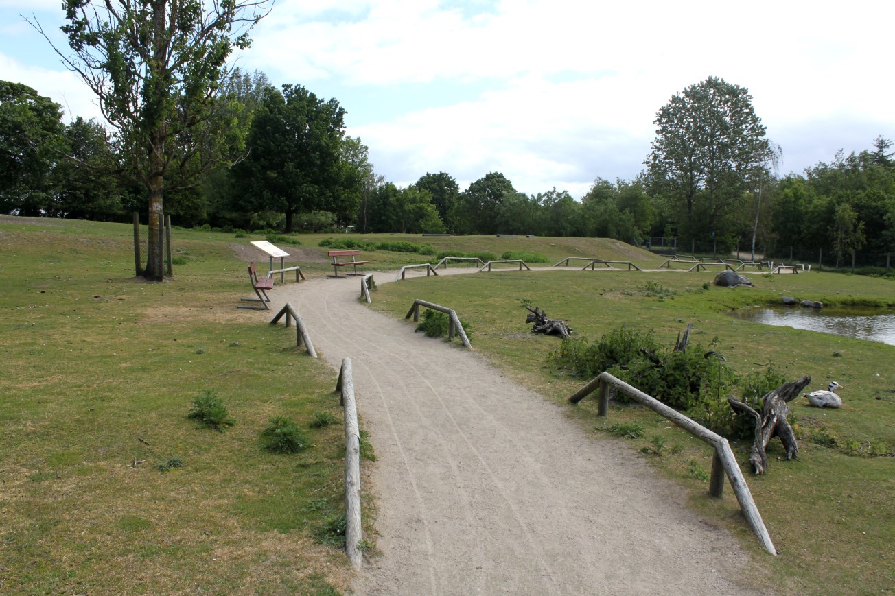 Givskud Zoo - Blackbuck enclosure