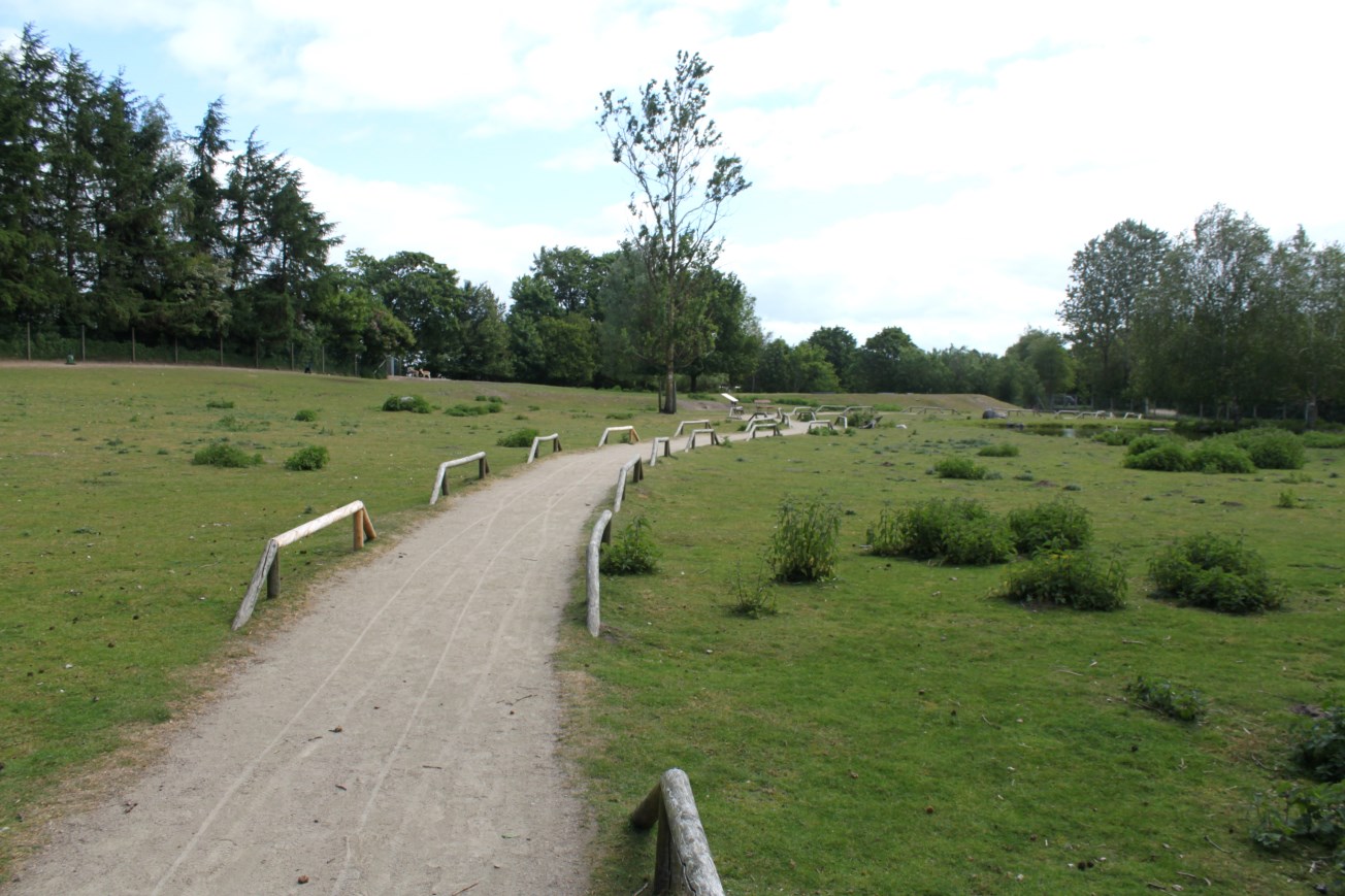 Givskud Zoo - Blackbuck enclosure
