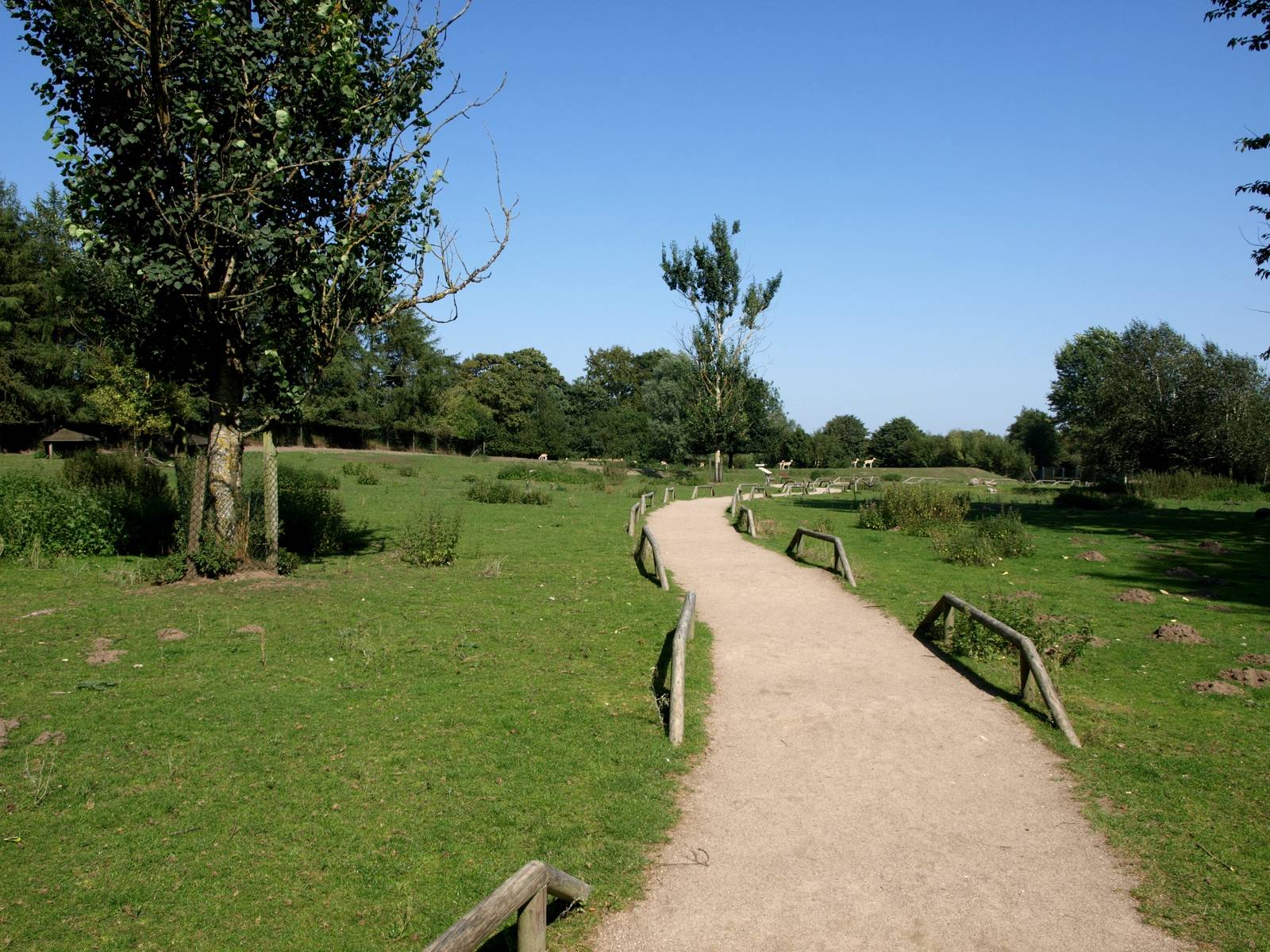Givskud Zoo - Blackbuck enclosure
