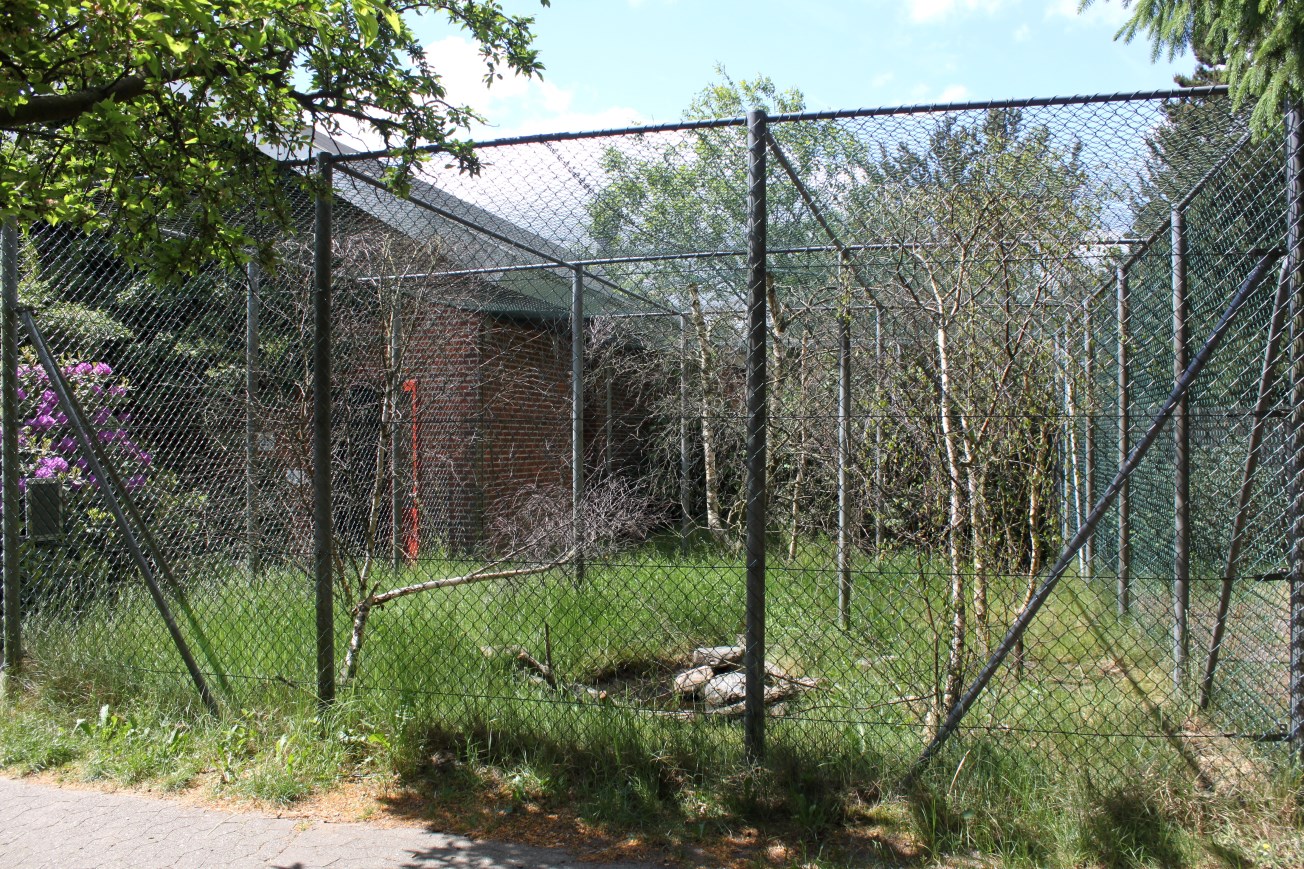Givskud Zoo - Chimpanzee House (Lemur exhibit)