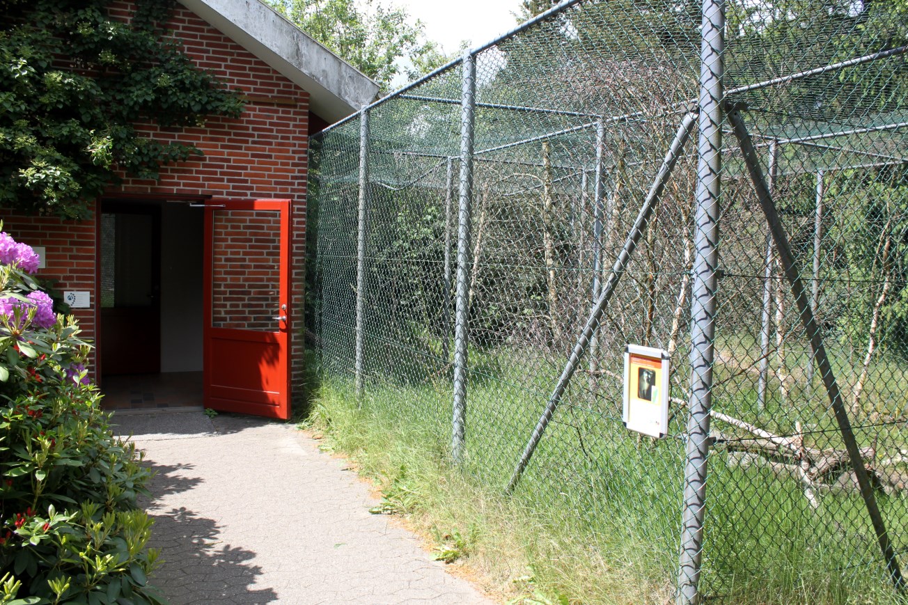 Givskud Zoo - Chimpanzee House (Lemur exhibit)