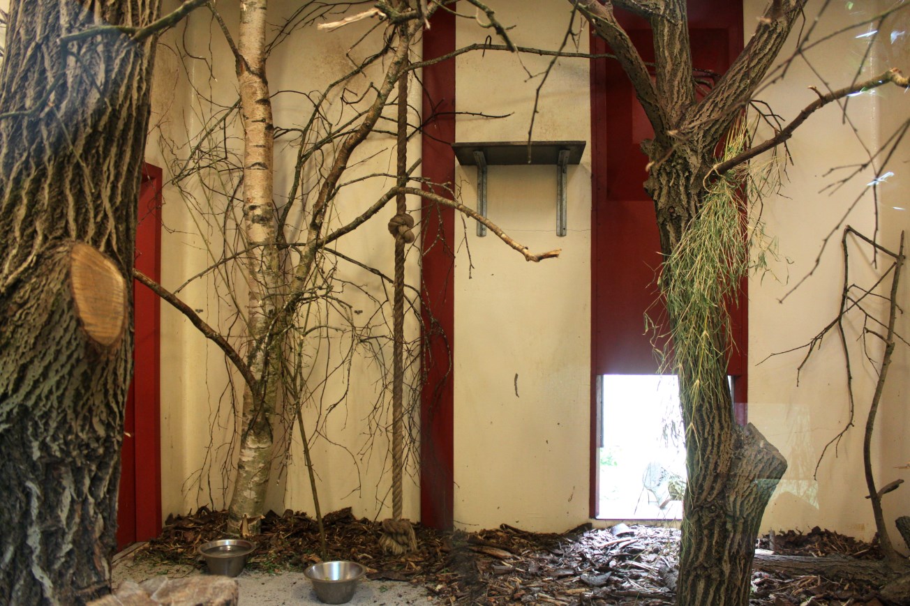 Givskud Zoo - Chimpanzee House (Lemur exhibit)