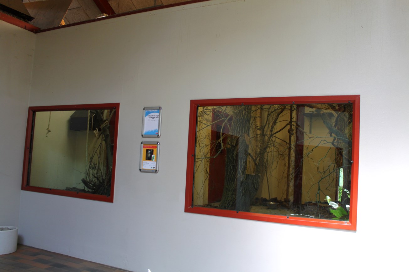 Givskud Zoo - Chimpanzee House (Primate exhibits)