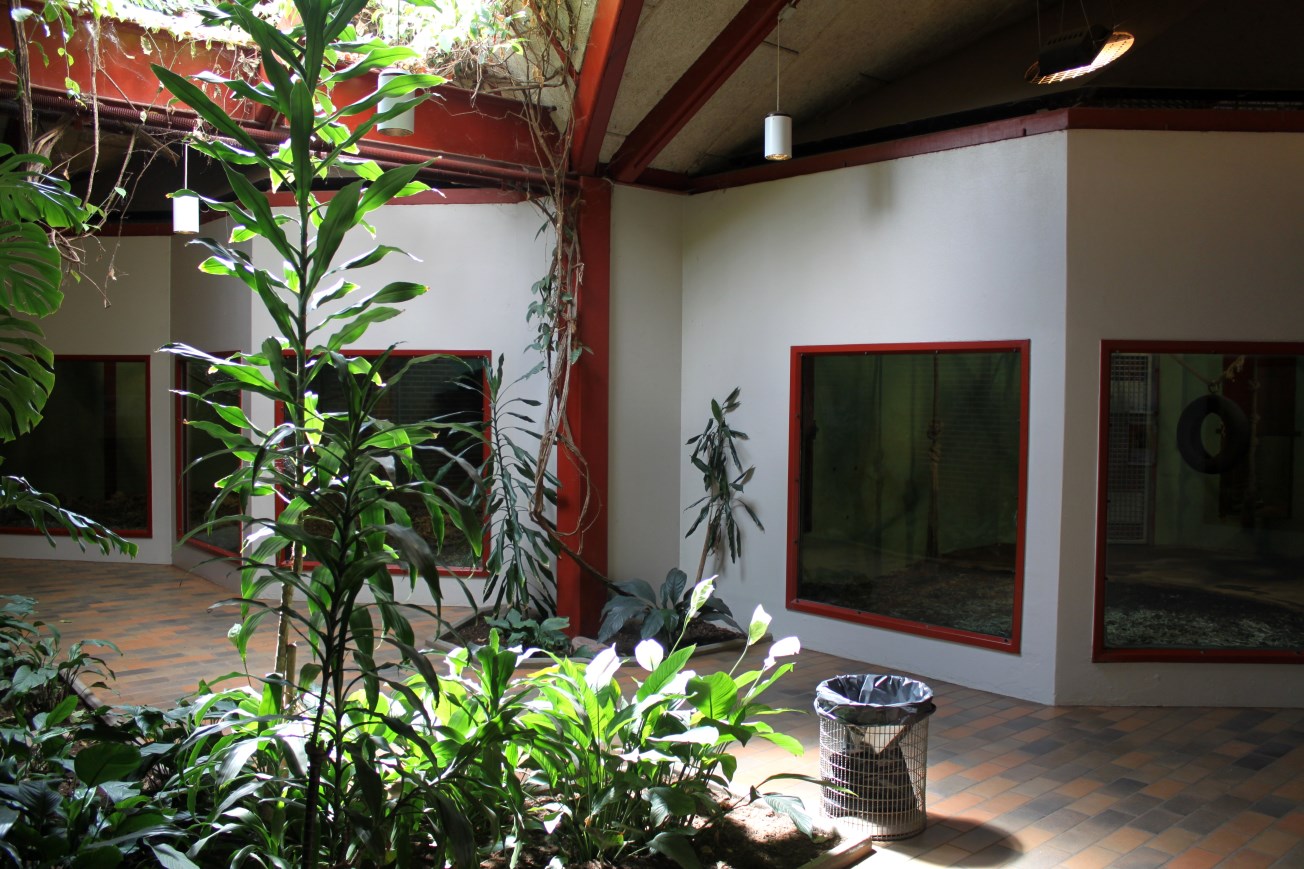 Givskud Zoo - Chimpanzee House