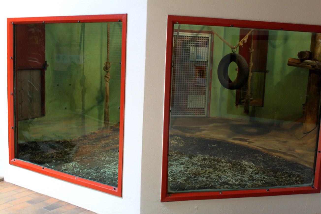 Givskud Zoo - Chimpanzee House