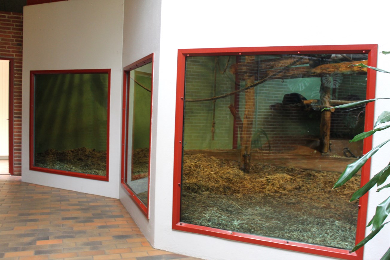 Givskud Zoo - Chimpanzee House