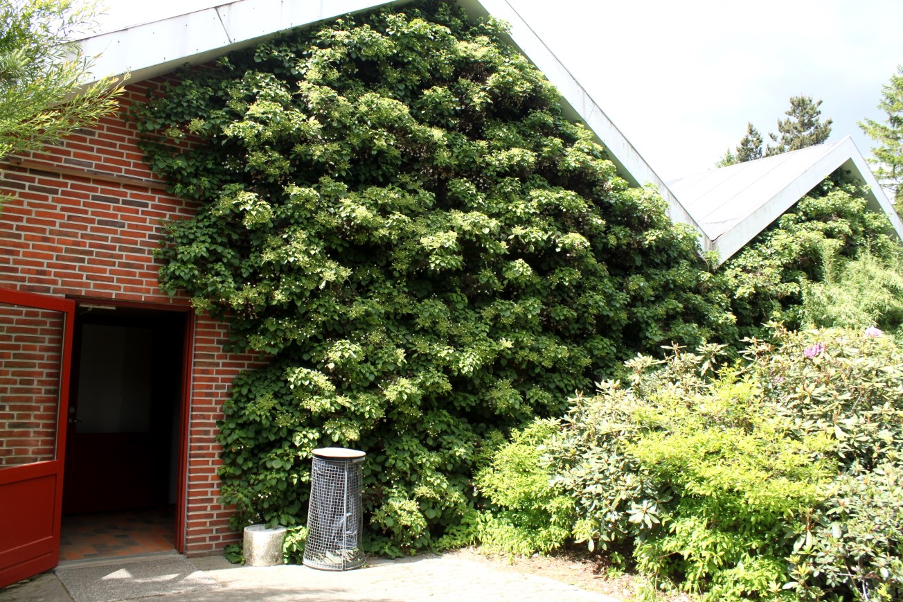 Givskud Zoo - Chimpanzee House