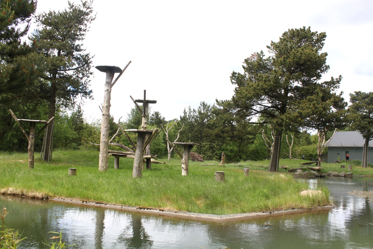 Givskud Zoo - Chimpanzee Island