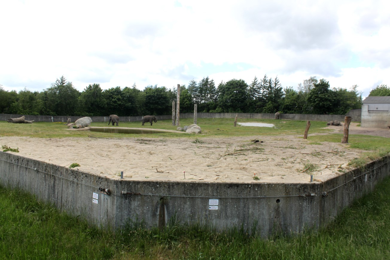 Givskud Zoo - Elephant exhibit
